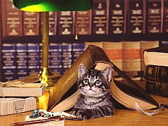 Hitting the Books